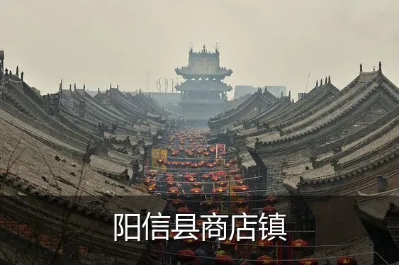 阳信县商店镇